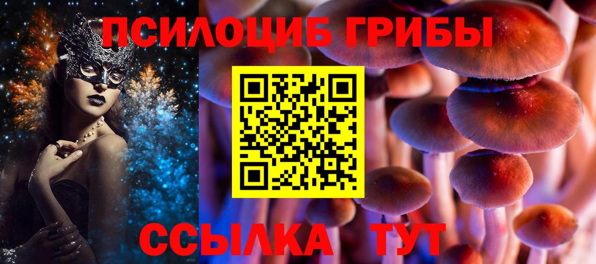 где купить наркоту  Вход с VPN  Стрежевой  Галлюциногенные грибы Magic Shrooms 