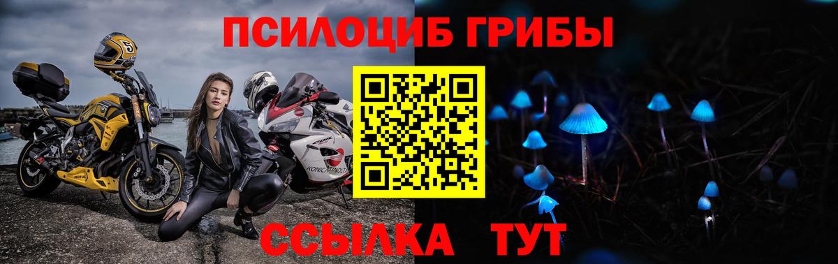 Псилоцибиновые грибы Magic Shrooms Стрежевой